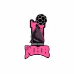 Logo de handball avec un loup et un ballon